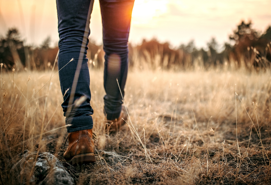 Accompagner%20l%27usage%20des%20écrans